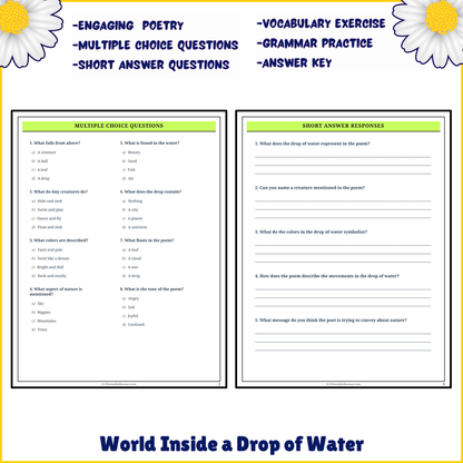 World Inside a Drop of Water | Poem Grammar Worksheet Printable Activity