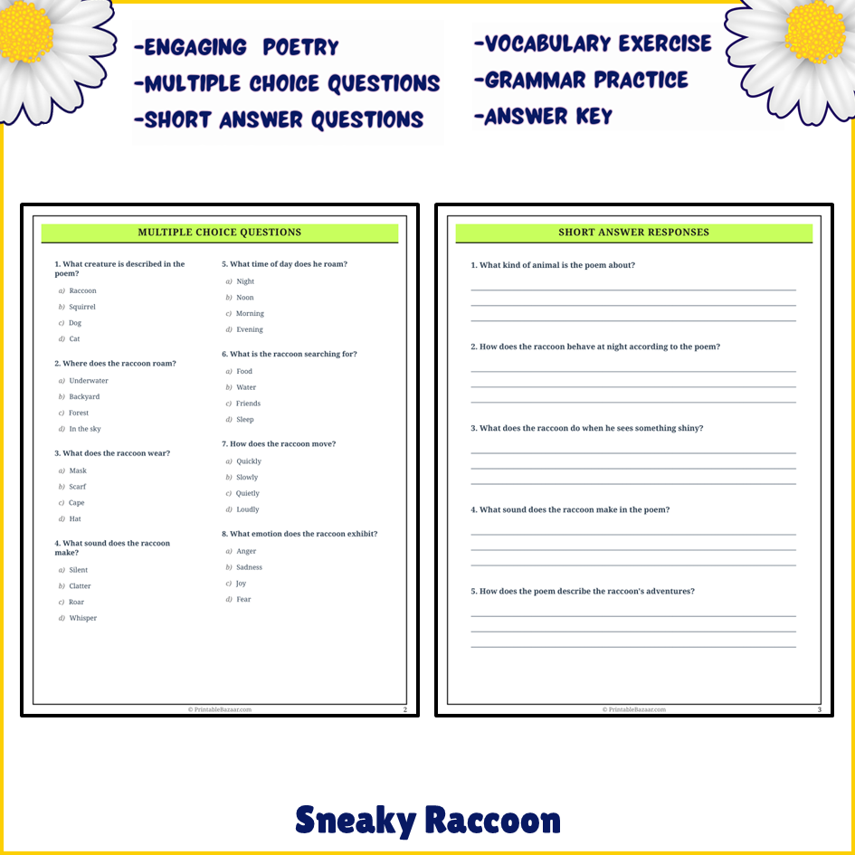 Sneaky Raccoon | Poem Grammar Worksheet Printable Activity