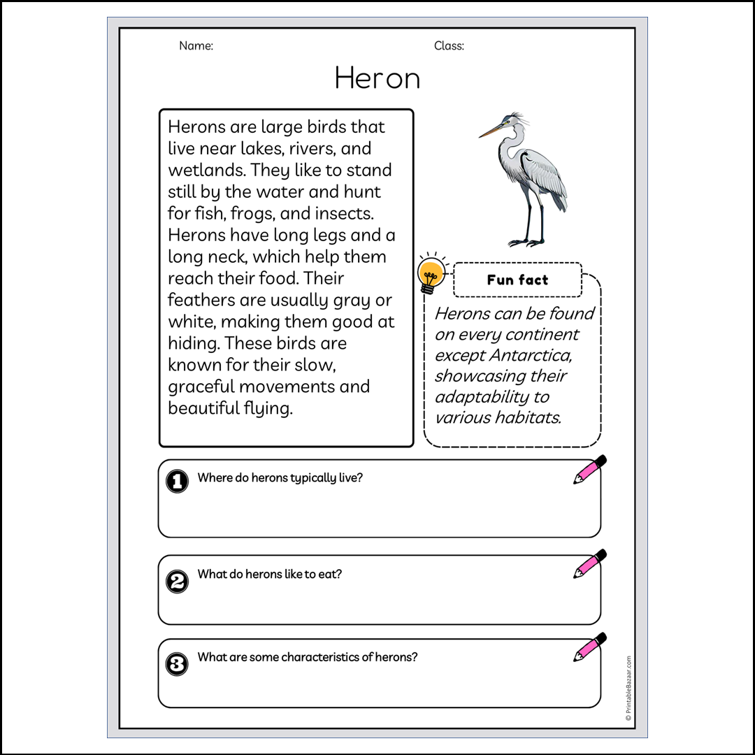 Heron | Reading Passage Comprehension Questions Writing Facts Worksheet