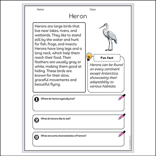 Heron | Reading Passage Comprehension Questions Writing Facts Worksheet