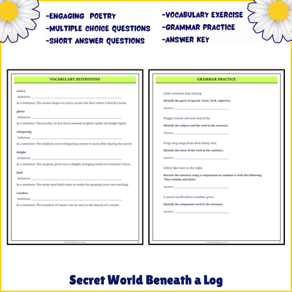 Secret World Beneath a Log | Poem Grammar Worksheet Printable Activity