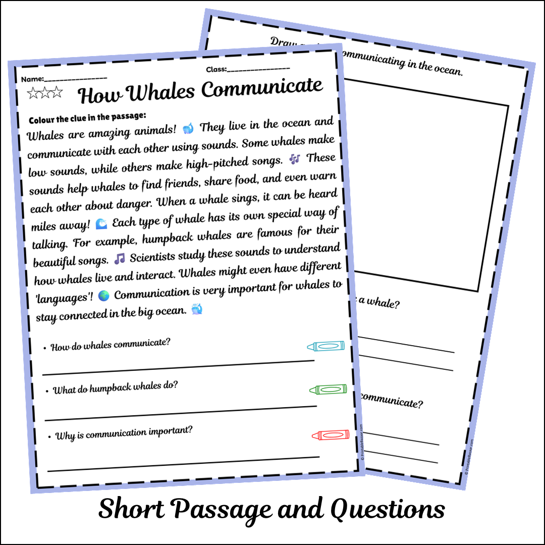 How Whales Communicate | Short Reading Comprehension Creative Worksheet