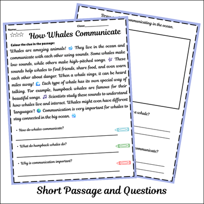 How Whales Communicate | Short Reading Comprehension Creative Worksheet