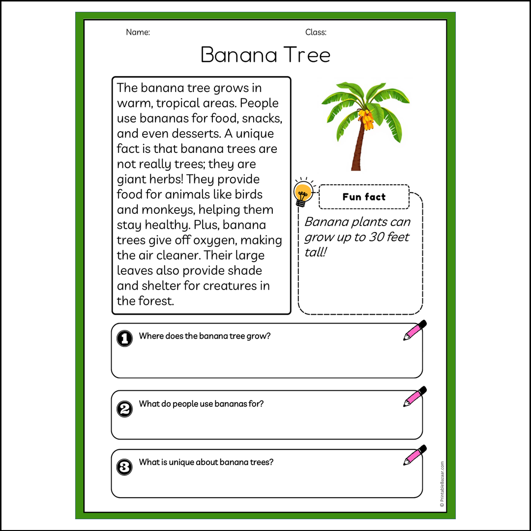 Banana Tree | Reading Passage Comprehension Questions Writing Facts Worksheet