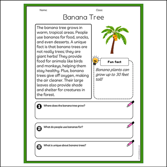 Banana Tree | Reading Passage Comprehension Questions Writing Facts Worksheet