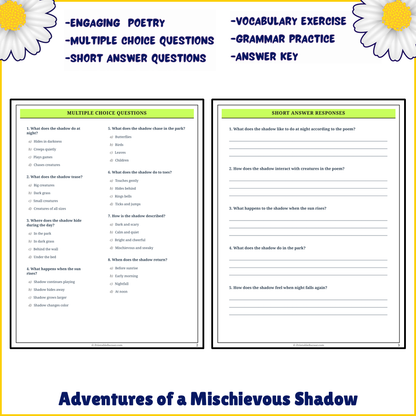 Adventures of a Mischievous Shadow | Poem Grammar Worksheet Printable Activity