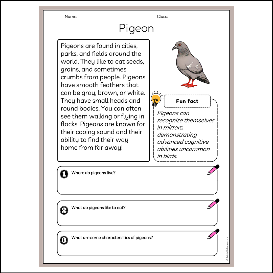 Pigeon | Reading Passage Comprehension Questions Writing Facts Worksheet