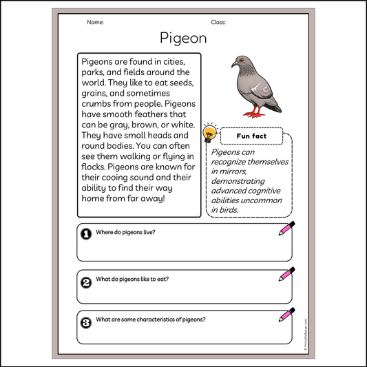 Pigeon | Reading Passage Comprehension Questions Writing Facts Worksheet