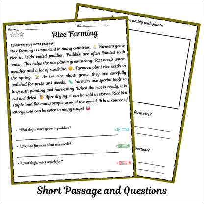 Rice Farming | Short Reading Comprehension Creative Worksheet