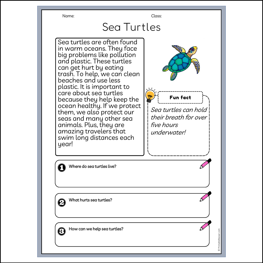 Sea Turtles | Reading Passage Comprehension Questions Writing Facts Worksheet