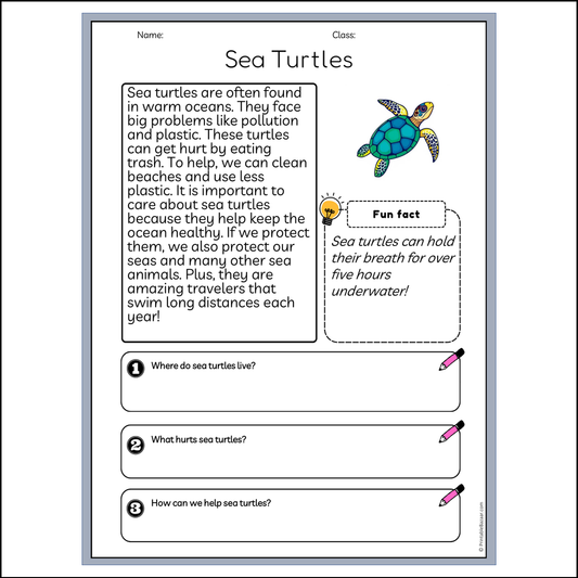 Sea Turtles | Reading Passage Comprehension Questions Writing Facts Worksheet