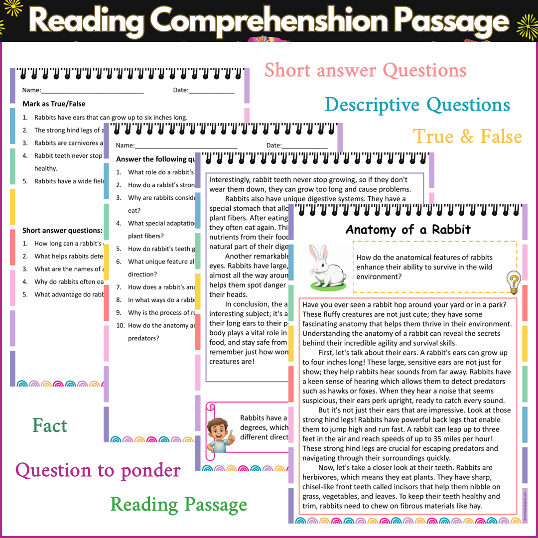 Anatomy of a Rabbit | Reading Comprehension Passage and Questions