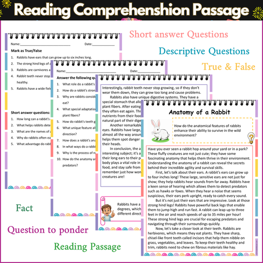 Anatomy of a Rabbit | Reading Comprehension Passage and Questions