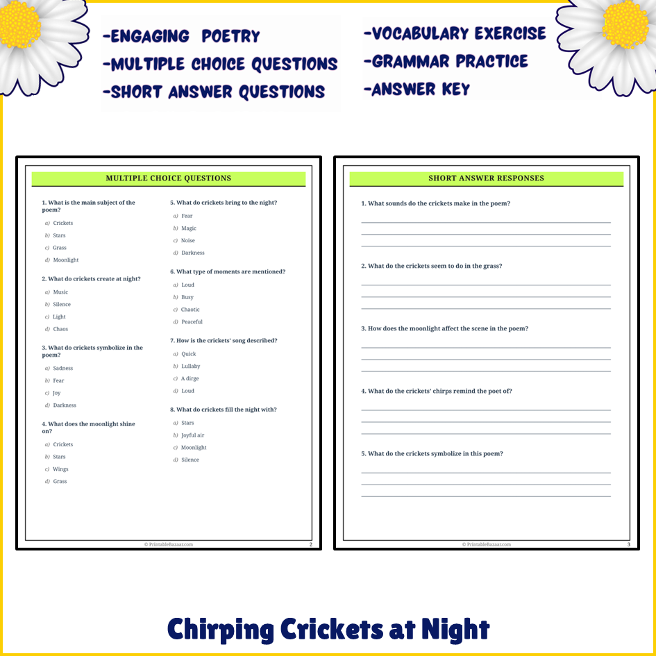 Chirping Crickets at Night | Poem Grammar Worksheet Printable Activity