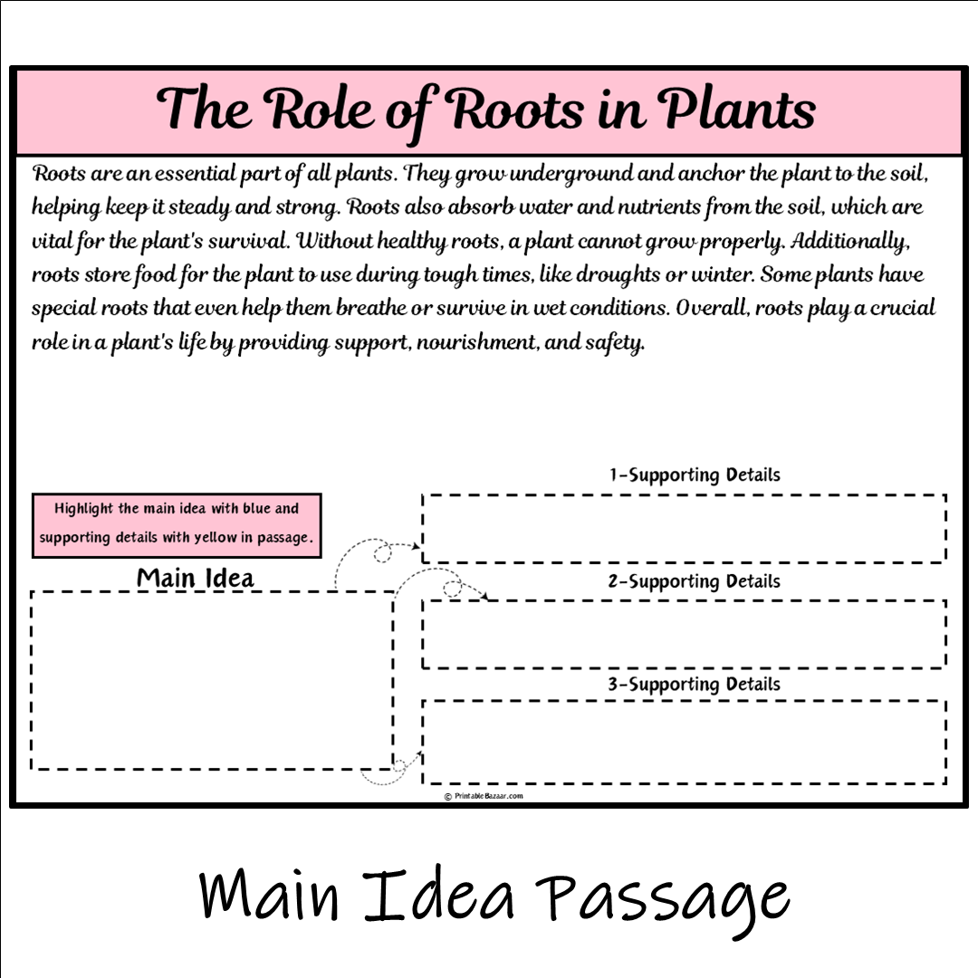 The Role of Roots in Plants | Main Idea and Supporting Details Reading Passage and Questions