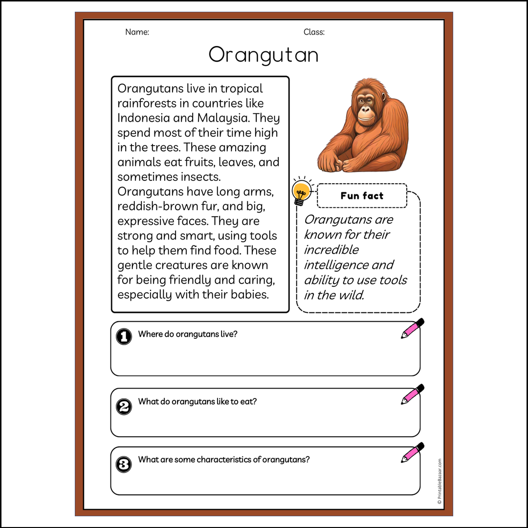 Orangutan | Reading Passage Comprehension Questions Writing Facts Worksheet