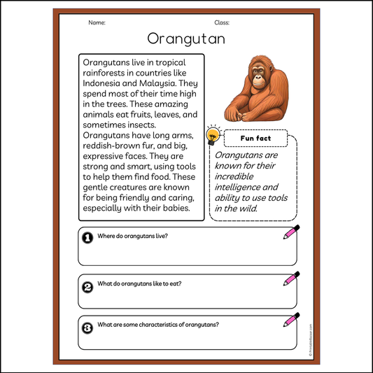 Orangutan | Reading Passage Comprehension Questions Writing Facts Worksheet