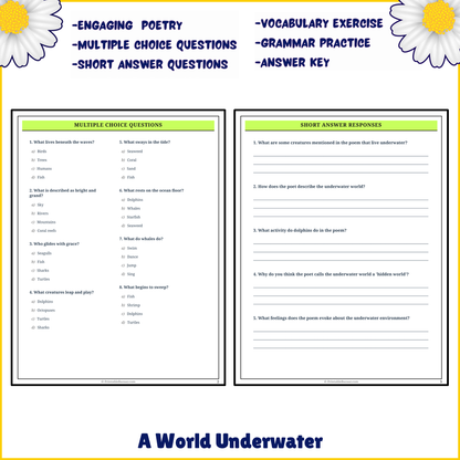 A World Underwater | Poem Grammar Worksheet Printable Activity