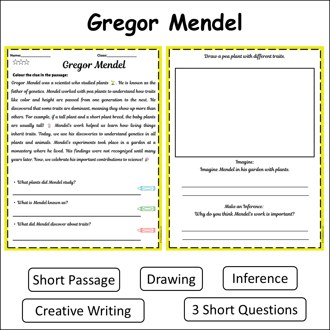 Gregor Mendel | Short Reading Comprehension Creative Worksheet