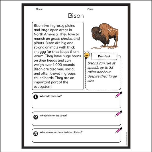 Bison | Reading Passage Comprehension Questions Writing Facts Worksheet