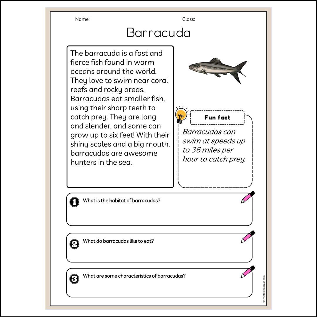 Barracuda | Reading Passage Comprehension Questions Writing Facts Worksheet