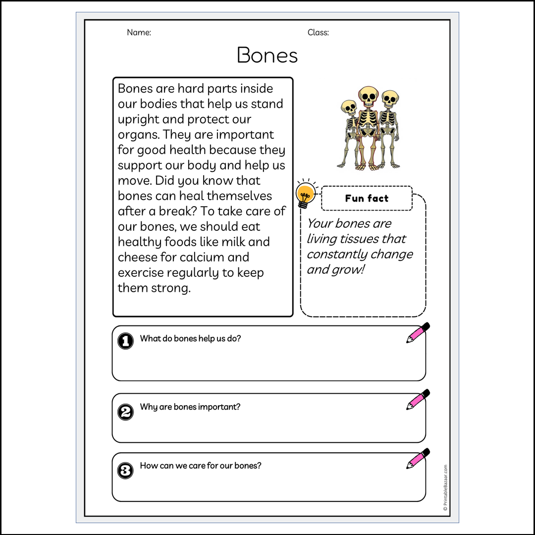 Bones | Reading Passage Comprehension Questions Writing Facts Worksheet