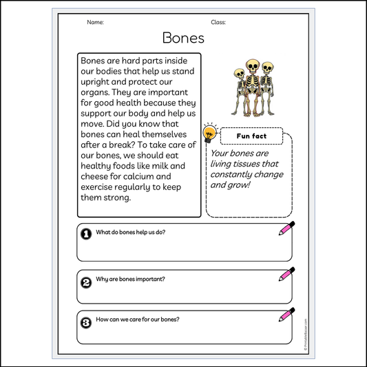 Bones | Reading Passage Comprehension Questions Writing Facts Worksheet