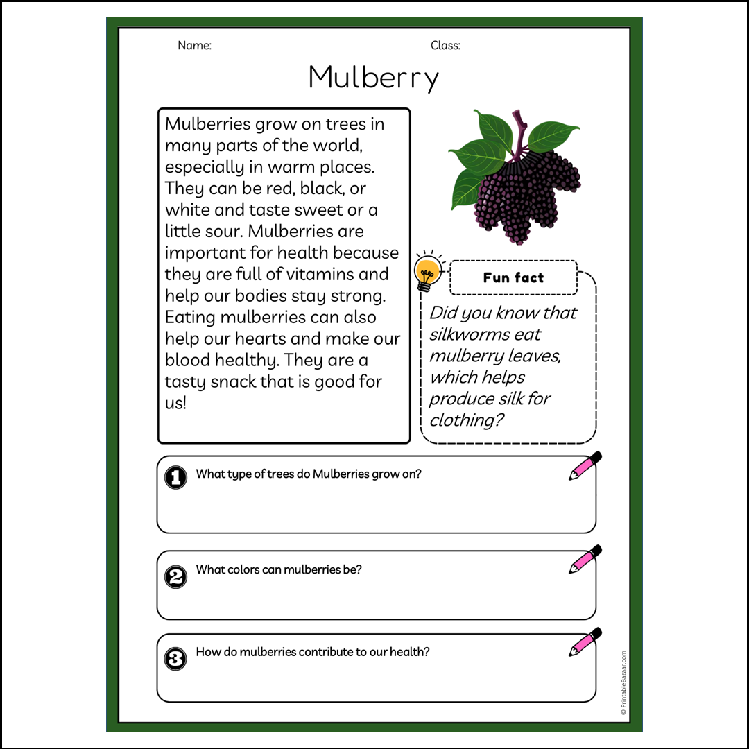 Mulberry | Reading Passage Comprehension Questions Writing Facts Worksheet