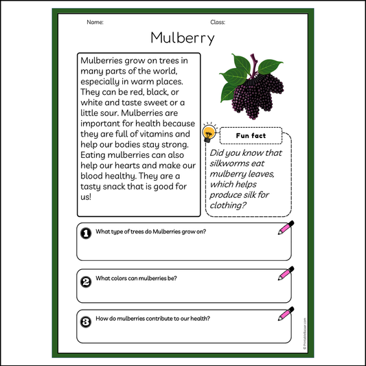 Mulberry | Reading Passage Comprehension Questions Writing Facts Worksheet