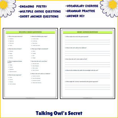 Talking Owl's Secret | Poem Grammar Worksheet Printable Activity