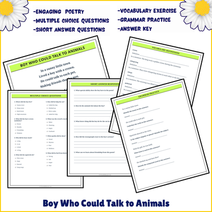 Boy Who Could Talk to Animals | Poem Grammar Worksheet Printable Activity