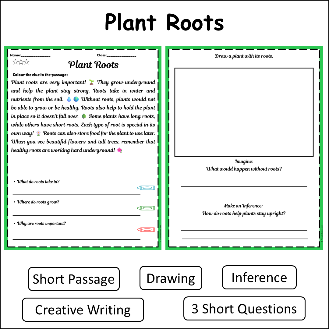 Plant Roots | Short Reading Comprehension Creative Worksheet