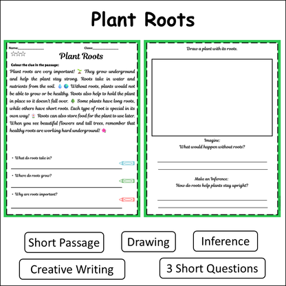 Plant Roots | Short Reading Comprehension Creative Worksheet