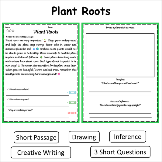 Plant Roots | Short Reading Comprehension Creative Worksheet