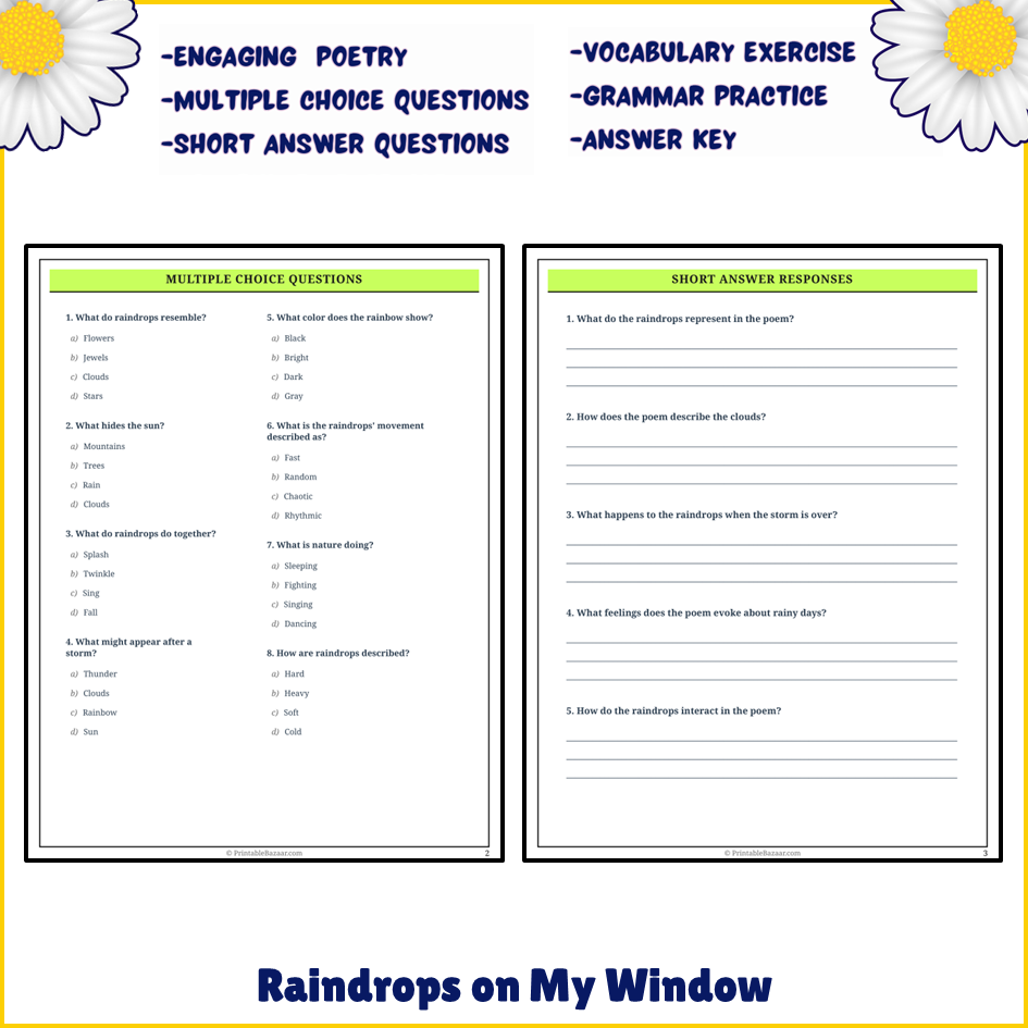 Raindrops on My Window | Poem Grammar Worksheet Printable Activity