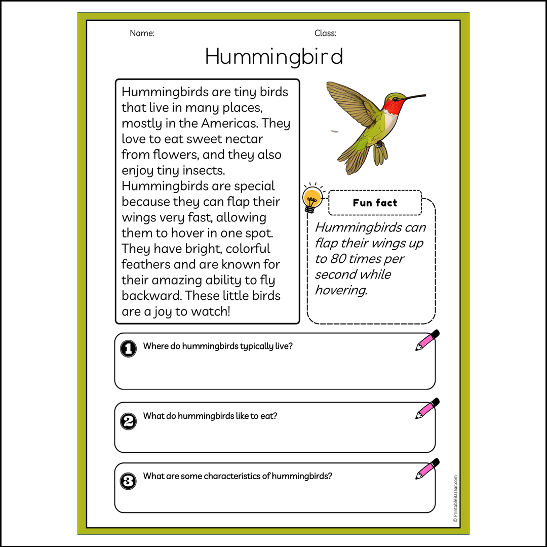 Hummingbird | Reading Passage Comprehension Questions Writing Facts Worksheet