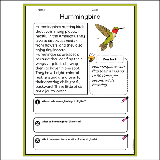 Hummingbird | Reading Passage Comprehension Questions Writing Facts Worksheet