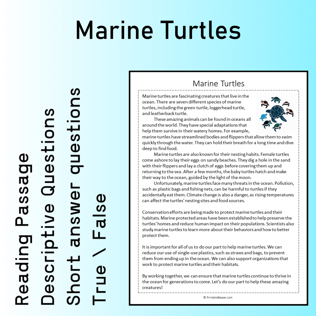 Marine Turtles | Reading Comprehension Passage Printable Worksheet