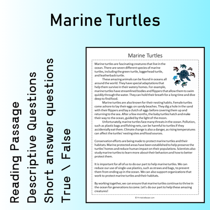 Marine Turtles | Reading Comprehension Passage Printable Worksheet