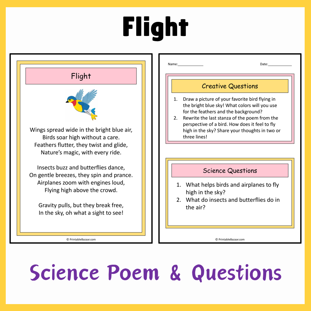 Flight | Science Poem Reading Comprehension Activity