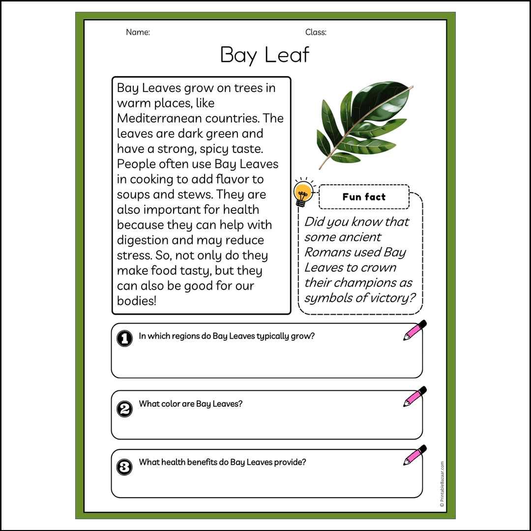 Bay Leaf | Reading Passage Comprehension Questions Writing Facts Worksheet