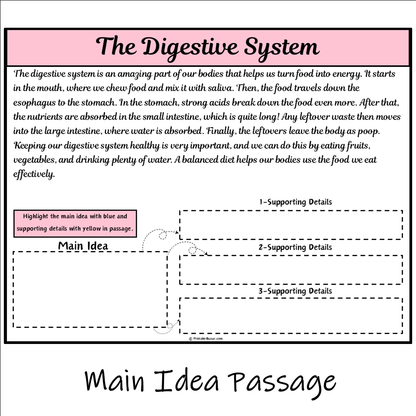 The Digestive System | Main Idea and Supporting Details Reading Passage and Questions