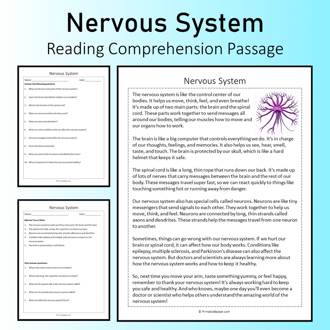 Nervous System | Reading Comprehension Passage Printable Worksheet