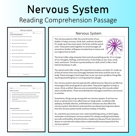 Nervous System | Reading Comprehension Passage Printable Worksheet