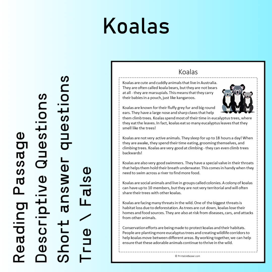 Koalas | Reading Comprehension Passage Printable Worksheet