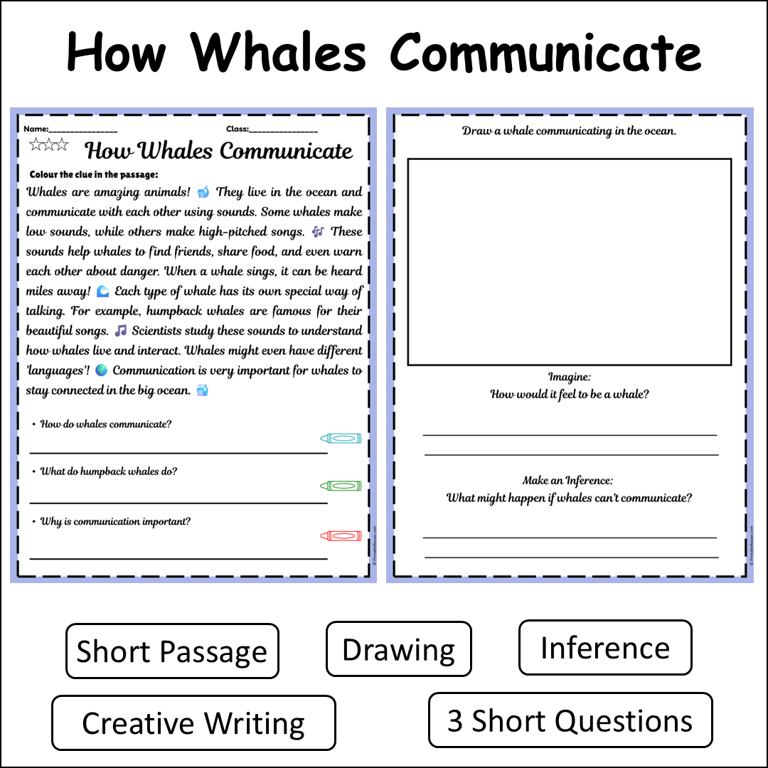 How Whales Communicate | Short Reading Comprehension Creative Worksheet