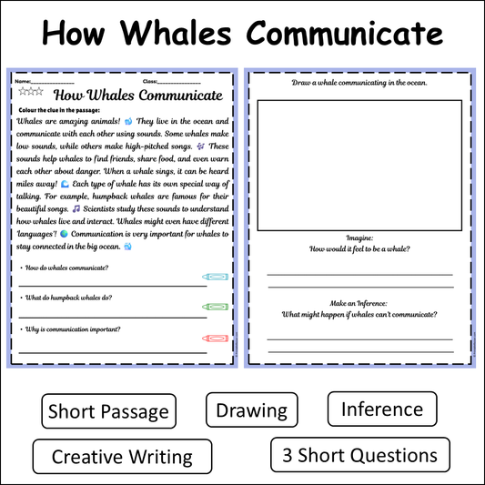 How Whales Communicate | Short Reading Comprehension Creative Worksheet