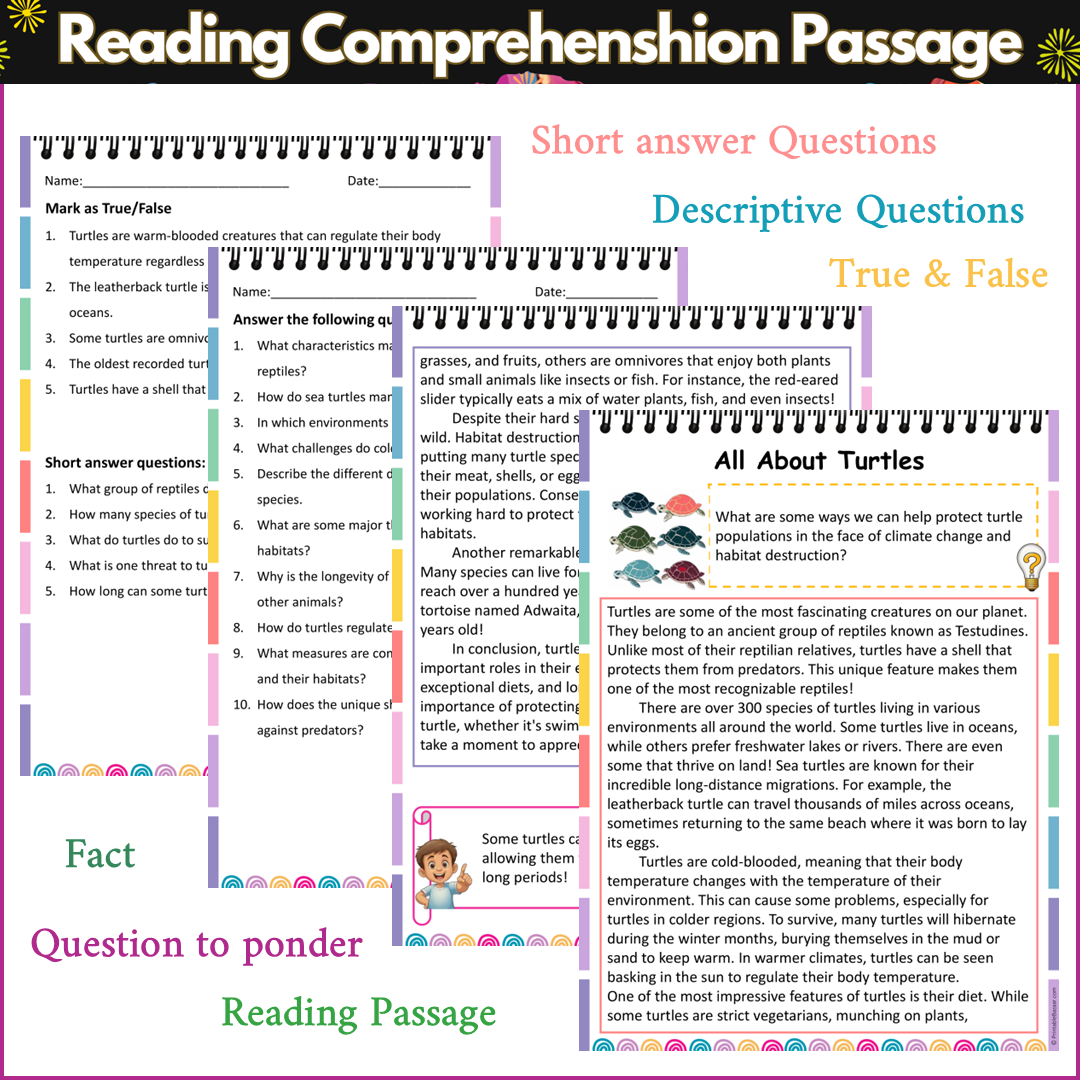 All About Turtles | Reading Comprehension Passage and Questions