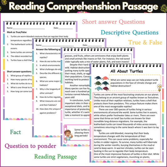 All About Turtles | Reading Comprehension Passage and Questions