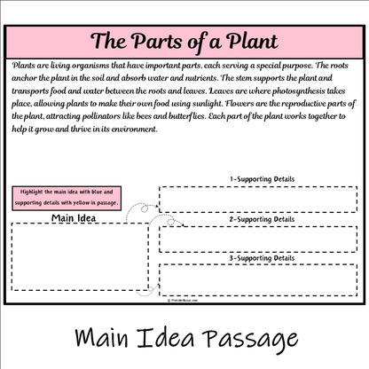 The Parts of a Plant | Main Idea and Supporting Details Reading Passage and Questions